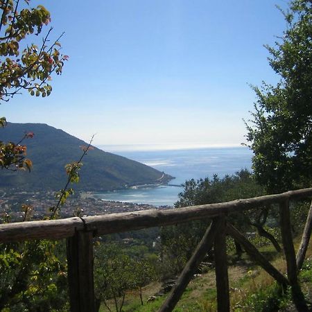 Casa Vacanze Cilento Torraca Ngoại thất bức ảnh